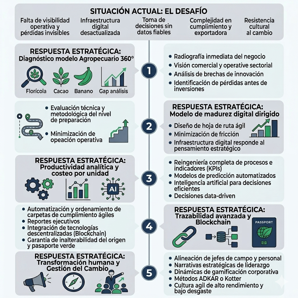 Modelo eficiencia operacional